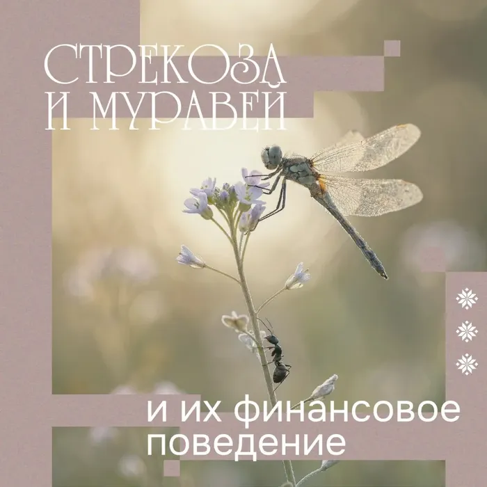 8A4299A7-3B3F-4507-836B-0D0EE00A7040.webp