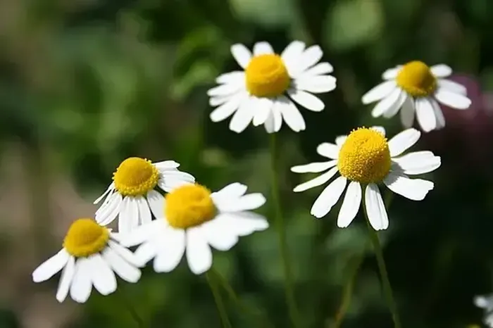 87987EB1-6E36-4B57-8D26-DBEAE7852C7C